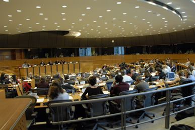 Verhandlung vor dem Petitionsausschuss des Europäischen Parlaments am 07. 06. 2007