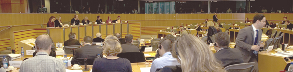 Petitionsausschuss des Europäischen Parlaments 22.11.2007 Petitionsausschuss des Europäischen Parlaments 22.11.2007